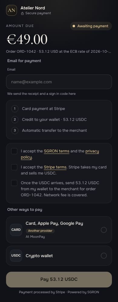 Payment page: amount, email, consent boxes and the Pay button